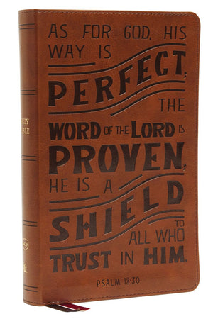 NKJV, Personal Size Reference Bible, Verse Art Cover Collection, Leathersoft, Tan, Red Letter, Comfort Print: Holy Bible, New King James Version *Like New*