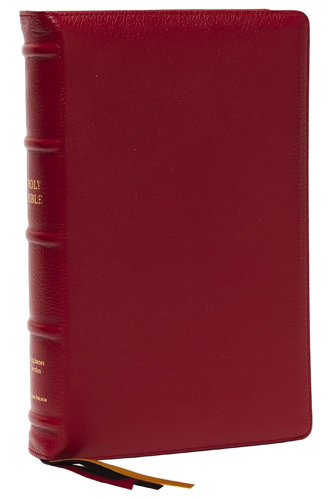 KJV Holy Bible: Large Print Single-Column with 43,000 End-of-Verse Cross References, Red Goatskin Leather, Premier Collection, Personal Size, Thumb Indexed: King James Version cover image
