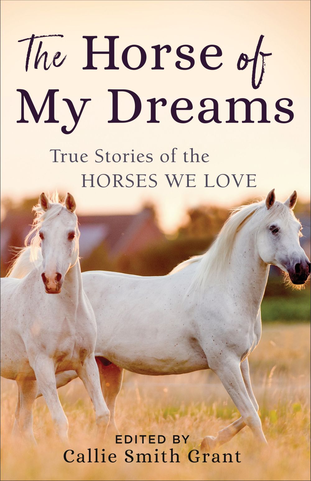 The Horse of My Dreams: True Stories of the Horses We Love