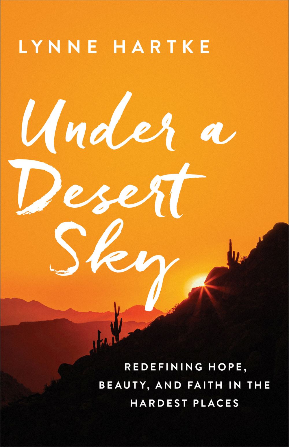 Under a Desert Sky