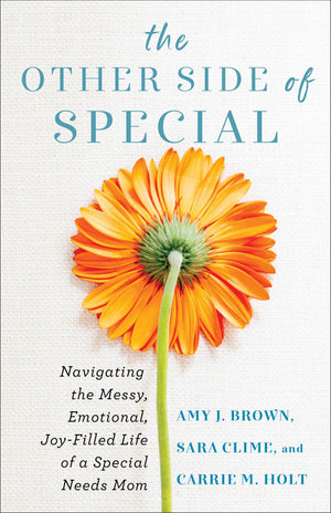 The Other Side of Special: Navigating the Messy, Emotional, Joy-Filled Life of a Special Needs Mom