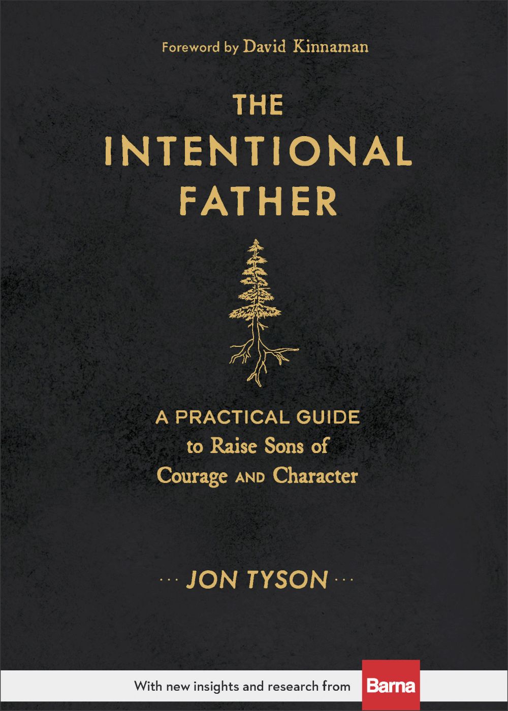 The Intentional Father: A Practical Guide to Raise Sons of Courage and Character (Includes Activities, Rites of Passage, and Steps for Parenting Boys. ... for Dads, Grandpas, and Expectant Fathers) *Very Good*