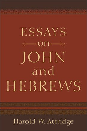 Essays on John and Hebrews