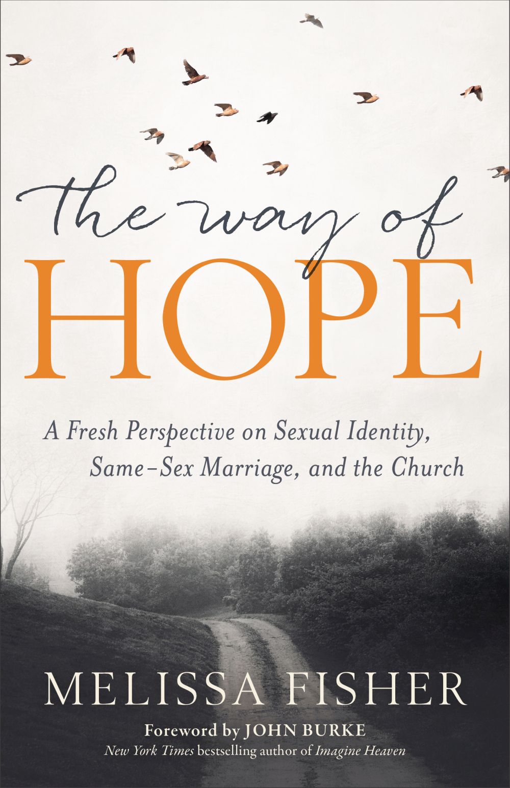 The Way of Hope: A Fresh Perspective on Sexual Identity, Same-Sex Marriage, and the Church