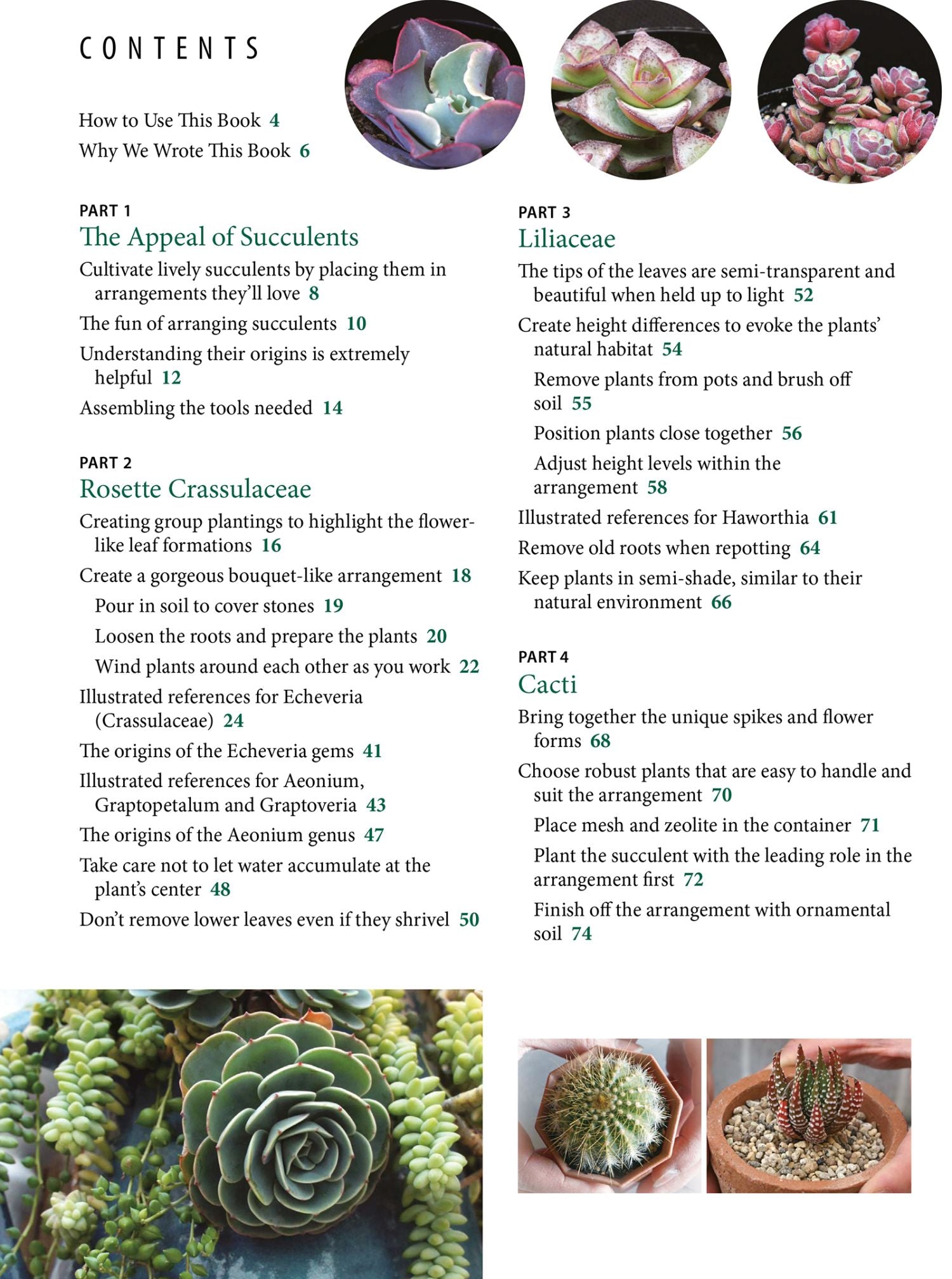 succulent guide book Succulents Made Easy: A Beginner's Guide (Featuring 200 Varieties)