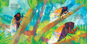 Cicada Symphony