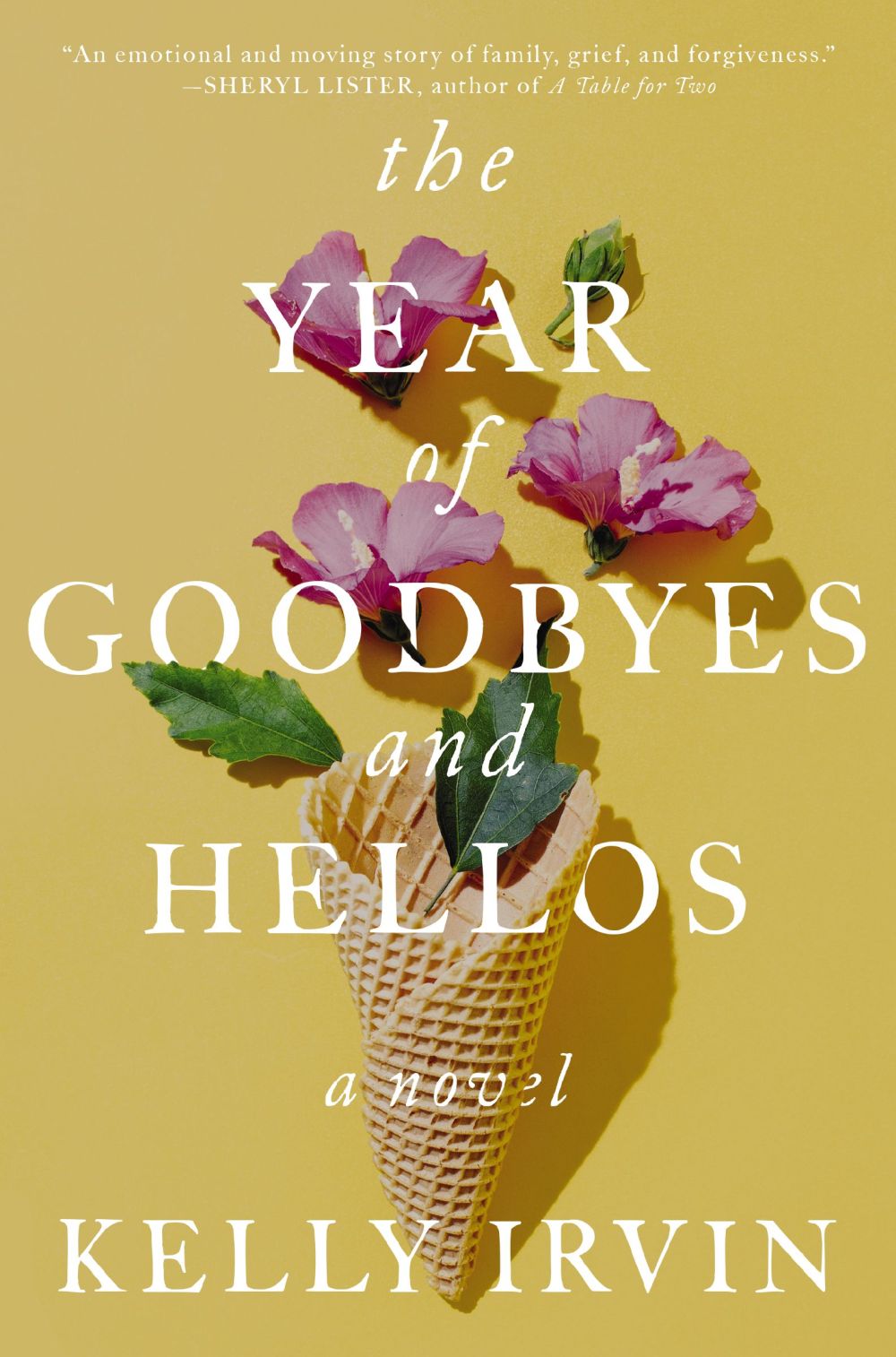 The Year of Goodbyes and Hellos: A Novel *Very Good*
