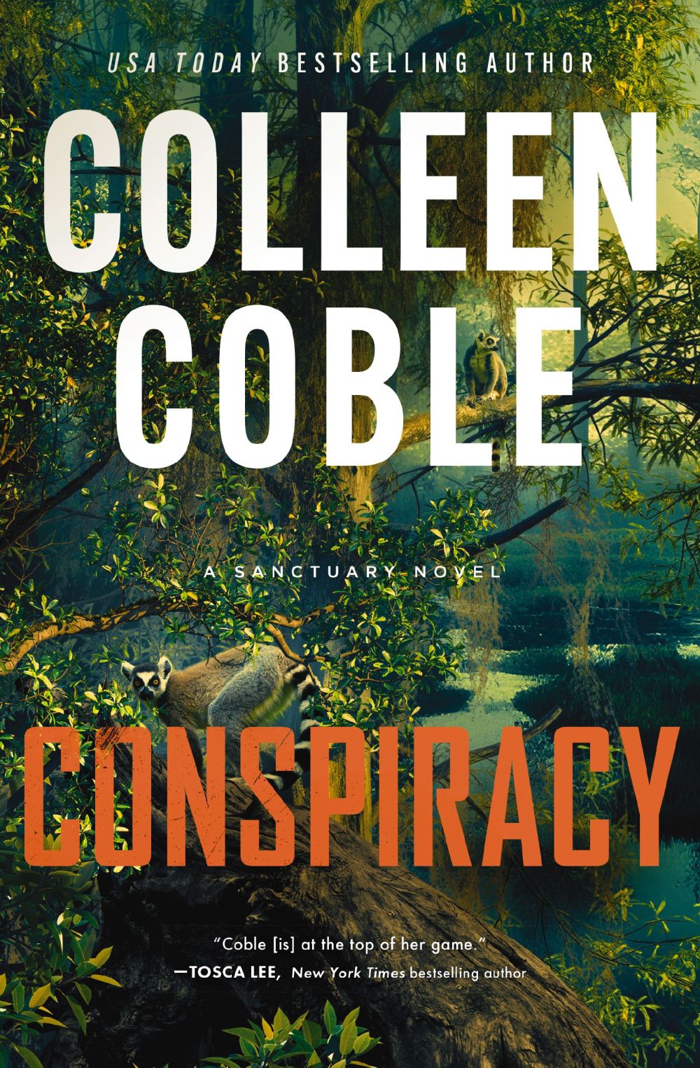 Conspiracy: A small-town, second-chance romantic suspense (A Sanctuary Novel)