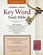 The Hebrew-Greek Key Word Study Bible: ESV Edition, Burgundy Bonded Leather (Key Word Study Bibles) *Like New*