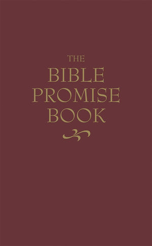 The Bible Promise Book - KJV *Very Good*