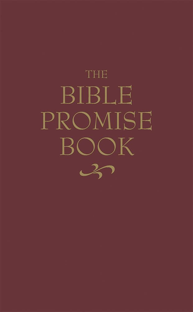 The Bible Promise Book - KJV *Very Good*