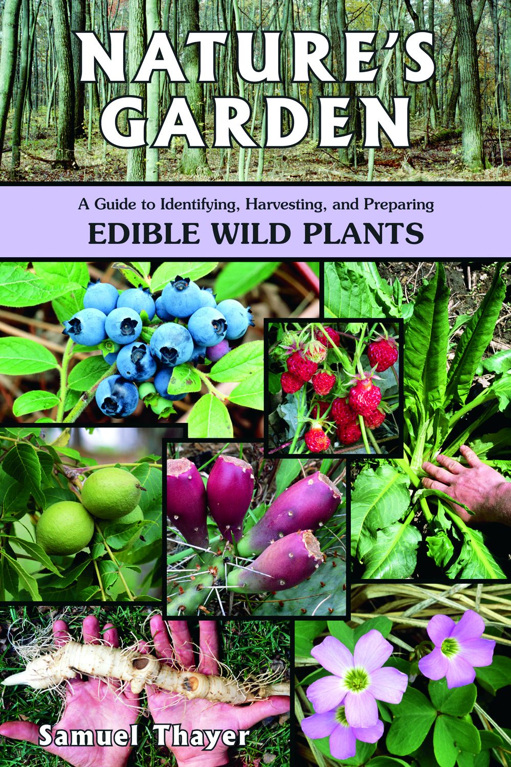 Nature's Garden: A Guide to Identifying, Harvesting, and Preparing Edible Wild Plants *Very Good*