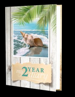 My 2 Year Diary *Very Good*