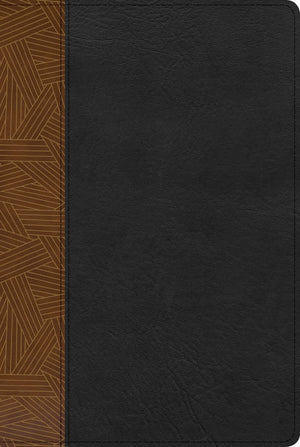 Reina Valera 1960 Biblia de Estudio Arcoiris, tostado/negro simil piel con indice | RVR 1960 Rainbow Study Bible, Tan/black LeatherTouch, Indexed (Spanish Edition)