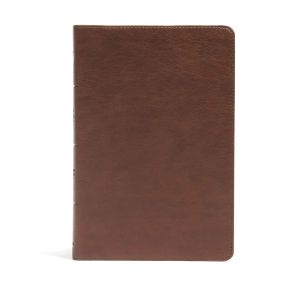 CSB Seven Arrows Bible, Brown LeatherTouch