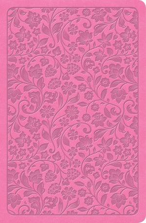 KJV Large Print Personal Size Reference Bible, Pink LeatherTouch, Red Letter, Cross-References, Pure Cambridge Text, Full-Color Maps, Easy-to-Read MCM Type, King James Version *Like New*