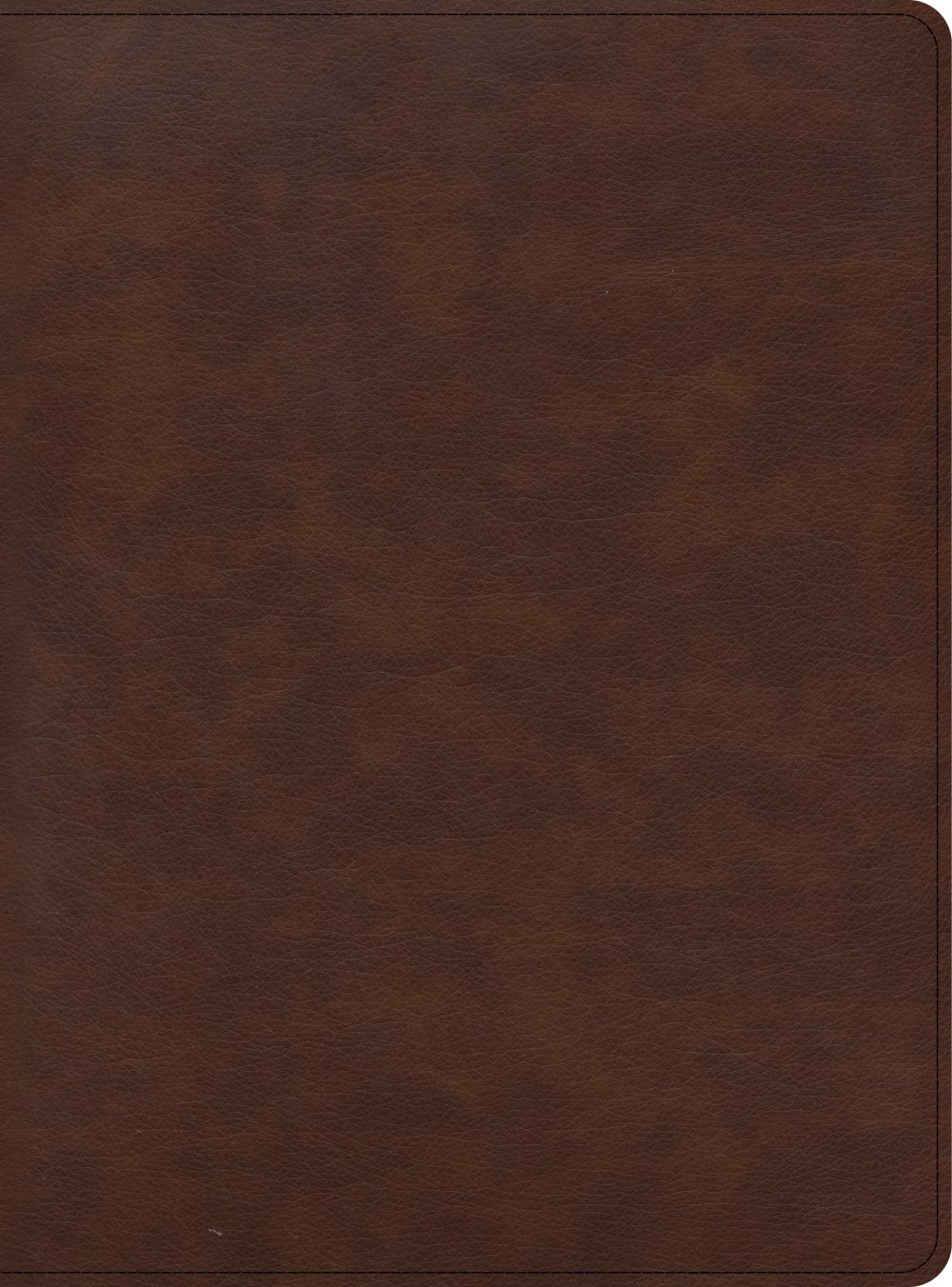 CSB Apologetics Study Bible for Students, Brown LeatherTouch, Black Letter, Defend Your Faith, Study Notes and Commentary, Articles, Profiles, Full-Color Maps, Easy-to-Read Bible Serif Type