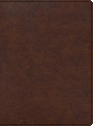 CSB Apologetics Study Bible for Students, Brown LeatherTouch, Black Letter, Defend Your Faith, Study Notes and Commentary, Articles, Profiles, Full-Color Maps, Easy-to-Read Bible Serif Type