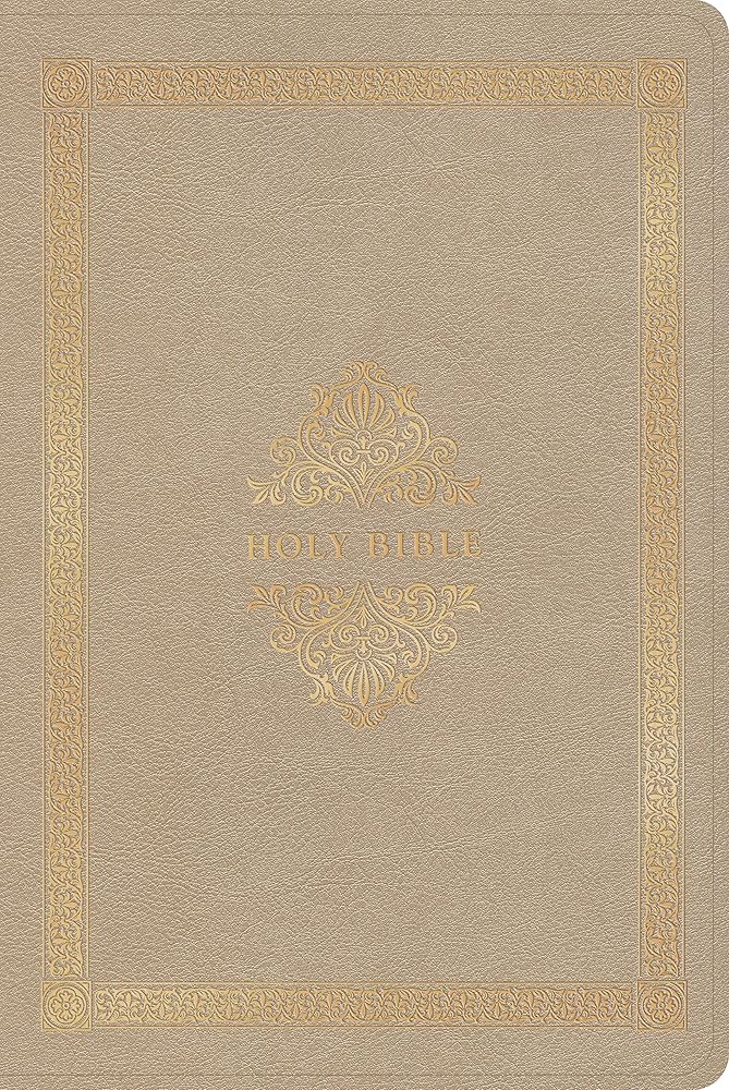 CSB Adorned Bible, Gold LeatherTouch, Black letter, Elegant Design, Gustave Doré, Illustrations, Single-Column, Wide-Margins, Easy-to-Read Bible Serif Type cover image