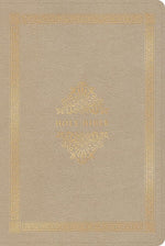 CSB Adorned Bible, Gold LeatherTouch, Black letter, Elegant Design, Gustave Doré, Illustrations, Single-Column, Wide-Margins, Easy-to-Read Bible Serif Type cover image