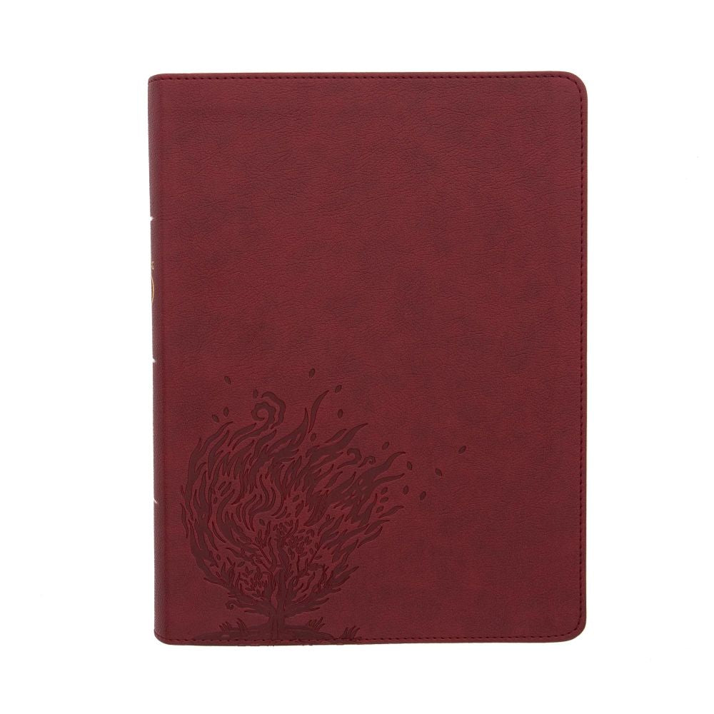 CSB Experiencing God Bible, Burgundy LeatherTouch, Full-Color Design, Articles, Character Profiles, Chapter Prompts and Questions, Key Verse Icons, Full-Color Maps, Easy-to-Read Bible Serif Type