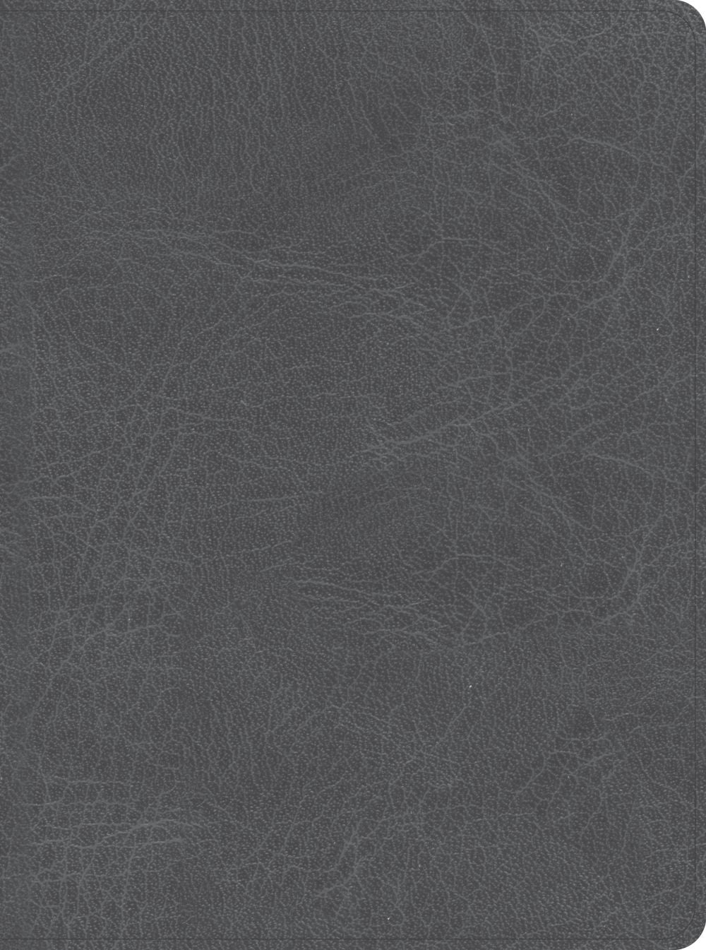 CSB He Reads Truth Bible, Smoke LeatherTouch, Indexed, Black Letter, Wide Margins, Journaling Space, Study Tools, Reading Plans, Maps, Charts, Easy-to-Read Bible Serif Type