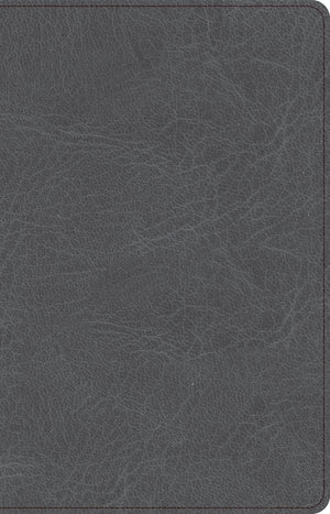 CSB Thinline Bible, Charcoal LeatherTouch, Red Letter, Presentation Page, Full-Color Maps, Easy-to-Read Bible Serif Type