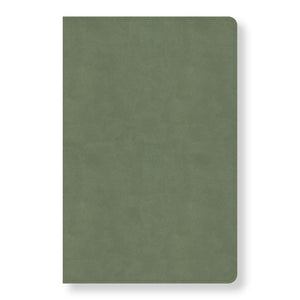 CSB Every Day with Jesus Daily Bible, Sage LeatherTouch, Black Letter, Reading Plan, One Year, Devotionals, Easy-to-Read Bible Serif Type