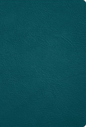 Biblia Reina Valera 1960, Deluxe, turquesa, piel genuina / Deluxe bible turquoise, Genuine Leather (Spanish Edition)