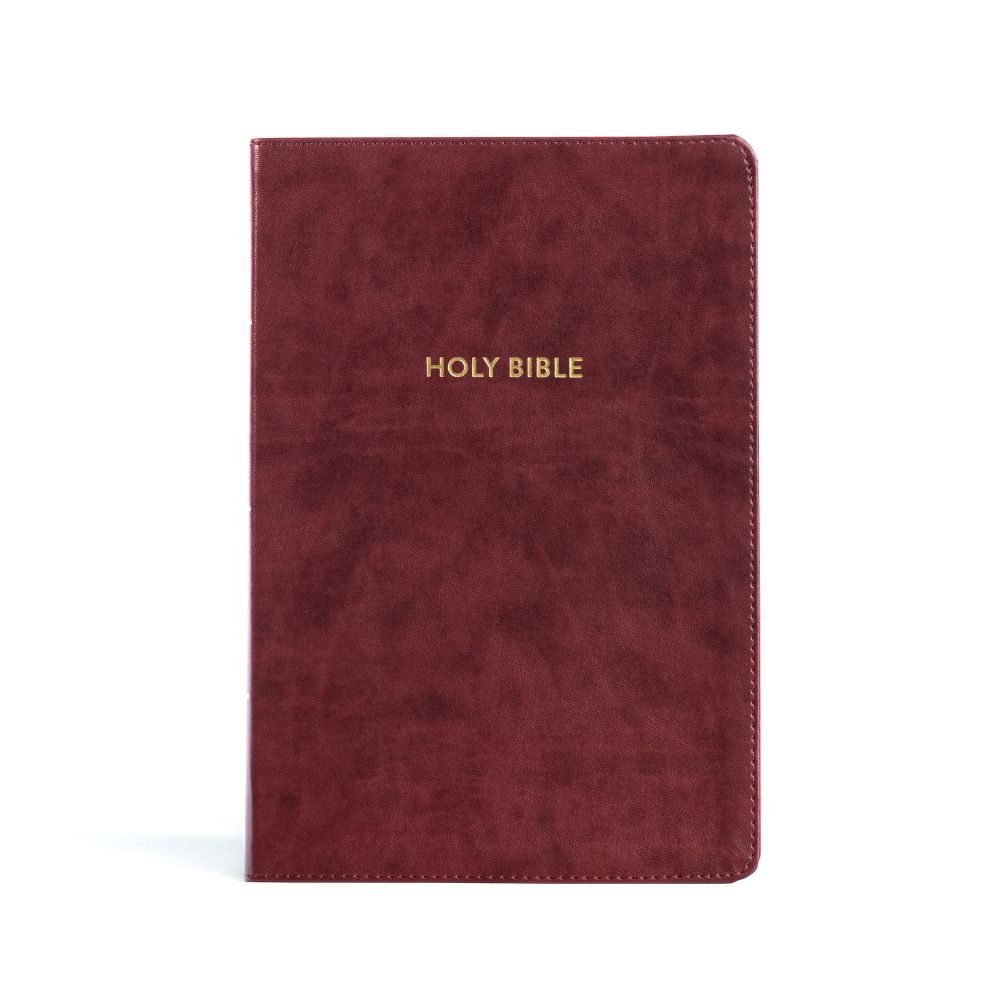 KJV Rainbow Study Bible, Burgundy LeatherTouch, Black Letter, Pure Cambridge Text, Color Coded, Bible Study Helps, Reading Plans, Full-Color Maps, Easy to Read Bible MCM Type