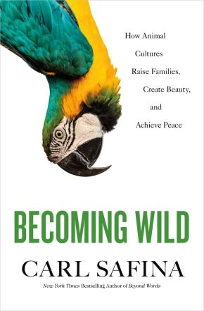 Becoming Wild: How Animal Cultures Raise Families, Create Beauty, and Achieve Peace *Very Good*