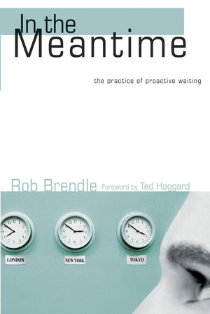 In the Meantime: The Practice of Proactive Waiting *Very Good*