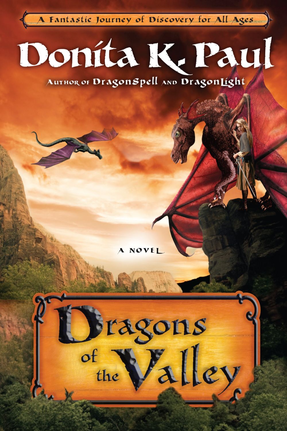 Dragons of the Valley: A Novel *Very Good*