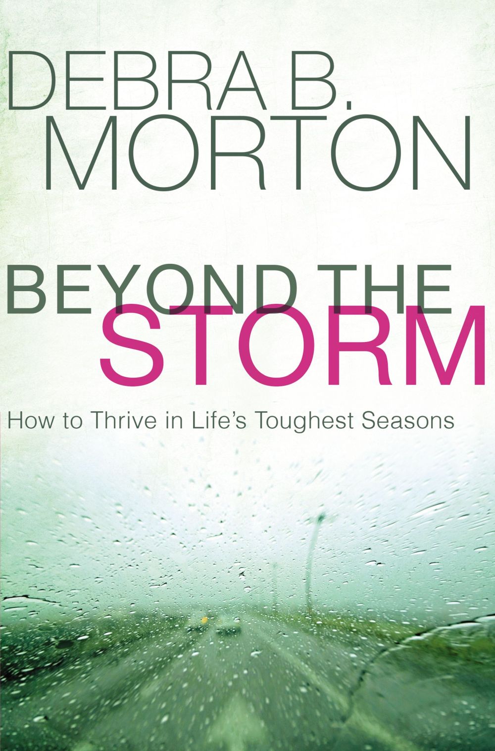 Beyond the Storm: How to Thrive in Life's Toughest Seasons *Very Good*