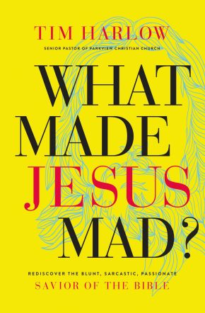 What Made Jesus Mad?: Rediscover the Blunt, Sarcastic, Passionate Savior of the Bible