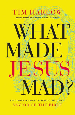 What Made Jesus Mad?: Rediscover the Blunt, Sarcastic, Passionate Savior of the Bible *Very Good*