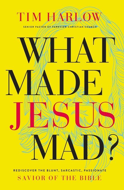 What Made Jesus Mad?*: Rediscover the Blunt, Sarcastic, Passionate Savior of the Bible *Very Good*