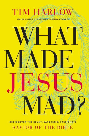 What Made Jesus Mad?*: Rediscover the Blunt, Sarcastic, Passionate Savior of the Bible *Very Good*