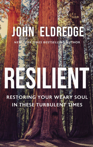 Resilient: Restoring Your Weary Soul in These Turbulent Times *Very Good*