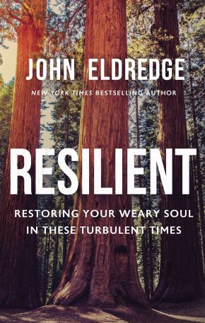 Resilient: Restoring Your Weary Soul in These Turbulent Times *Very Good*