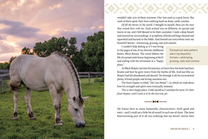 Fields of Grace: Sharing Faith from the Horse Farm