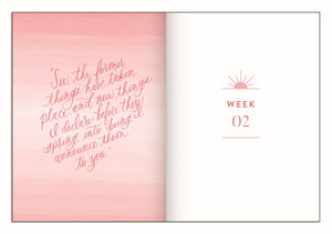 Sure as the Sunrise: 100 Morning Meditations on God's Mercy and Delight