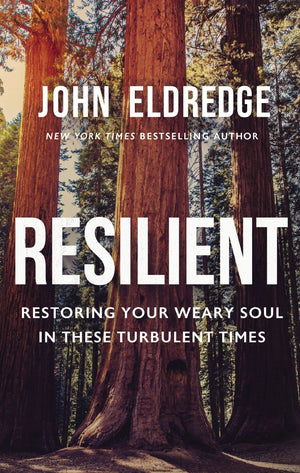 Resilient: Restoring Your Weary Soul in These Turbulent Times