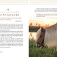 Unbridled Faith: 100 Devotions from the Horse Farm