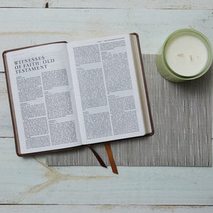 NRSV Catholic Edition Bible, Magnolia Hardcover (Global Cover Series): Holy Bible