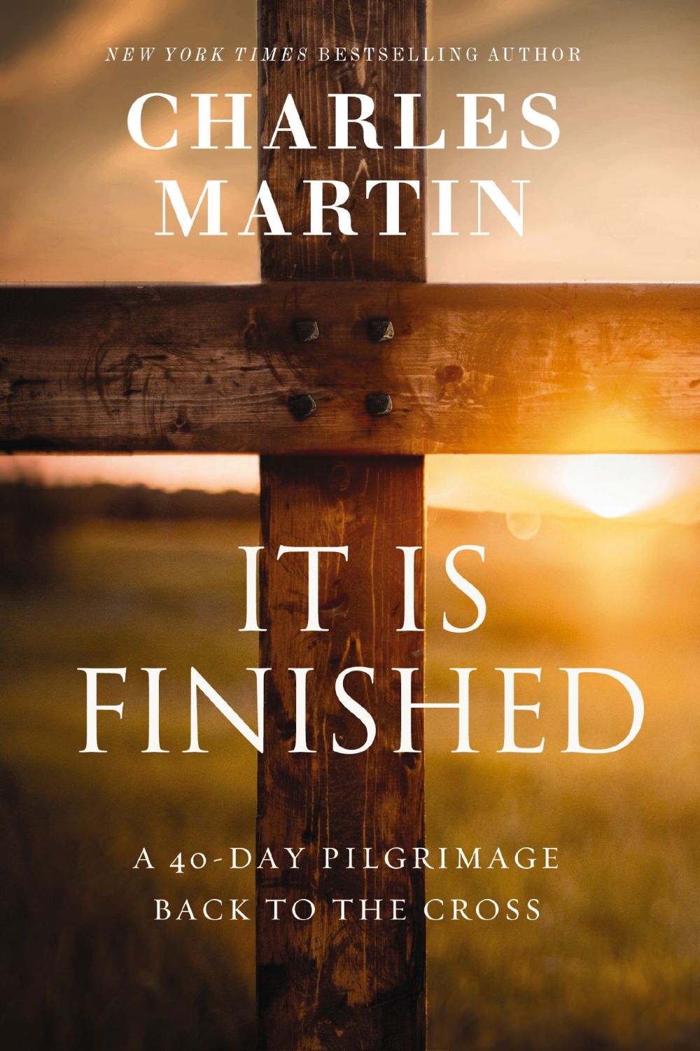 It Is Finished: A 40-Day Pilgrimage Back to the Cross *Very Good*