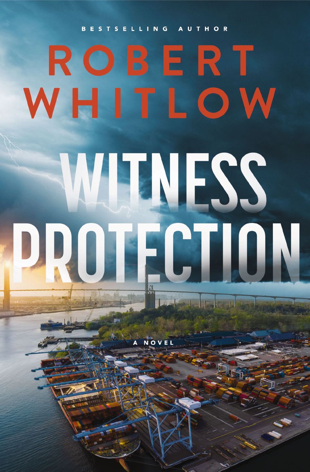 Witness Protection: A Legal Suspense Novel *Very Good*