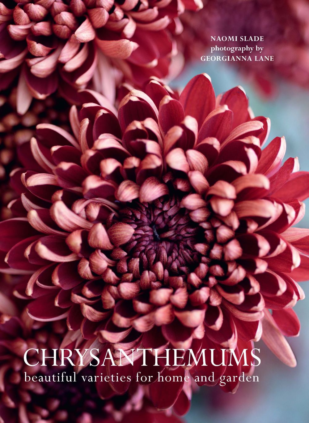 Chrysanthemums: Beautiful Varieties for Home and Garden (Flowers) *Very Good*
