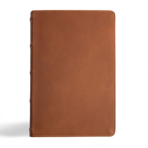 CSB Men's Daily Bible, Brown Genuine Leather, Black Letter, Reading Plan, Articles, Callouts, Study Tools, Easy-to-Read Bible Serif Type