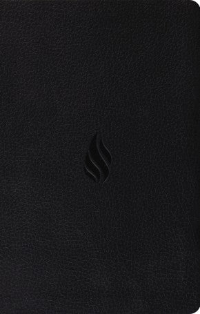 ESV Premium Gift Bible (TruTone, Midnight, Flame Design)